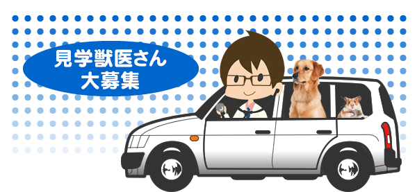 見学獣医さん大募集