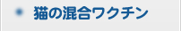 猫の混合ワクチンについて