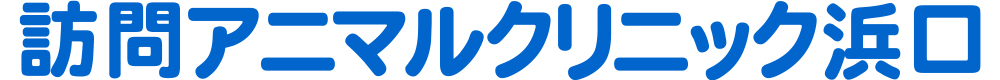 訪問アニマルクリニック浜口